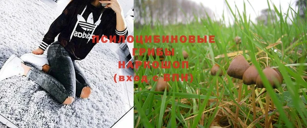 альфа пвп Бородино