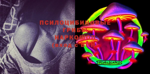 альфа пвп Бородино