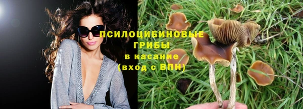 альфа пвп Бородино