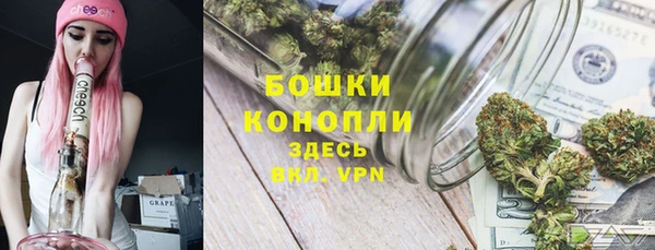 альфа пвп Бородино