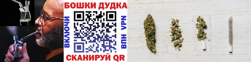 mega вход  Павловская  Канабис сатива 